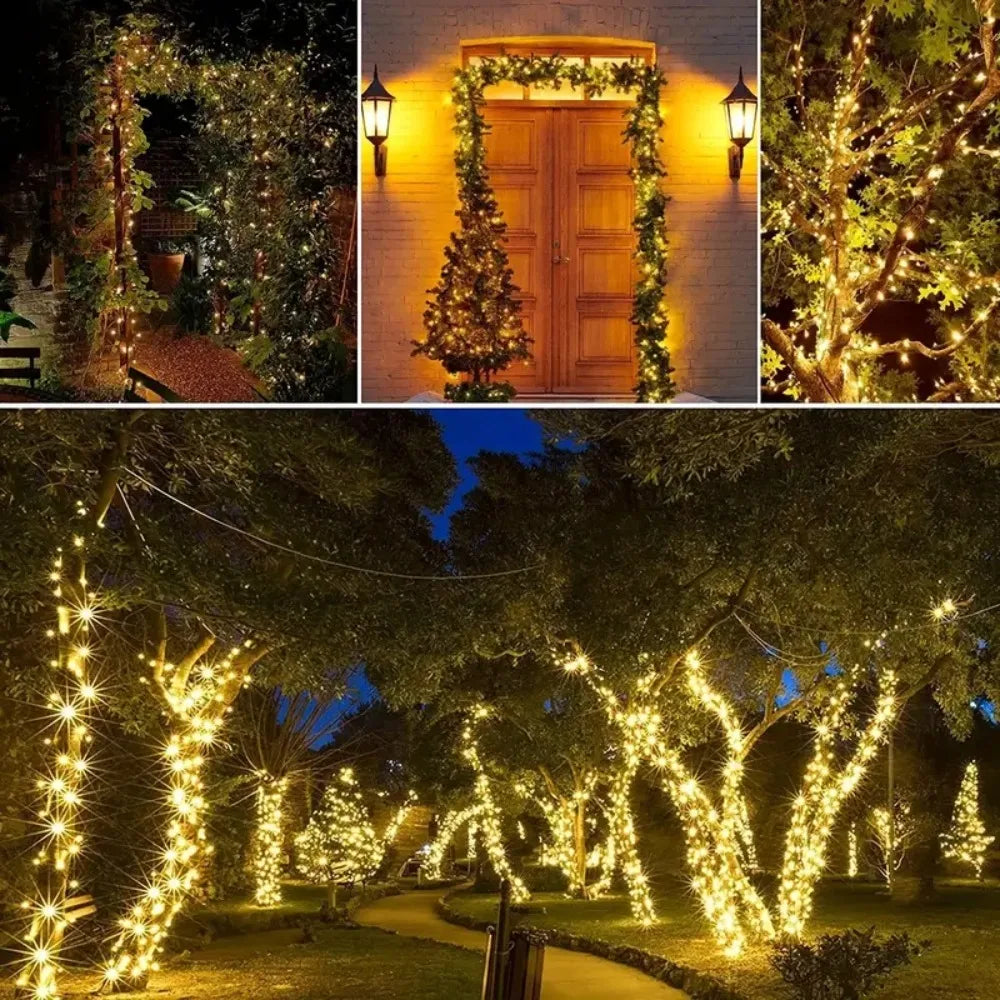 Outdoor string lights illuminate a garden path and trees at dusk with warm yellow lights.