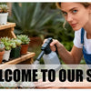 A woman is cleaning potted succulents in a wooden store display.