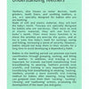 An informational graphic about understanding and caring for teething babies, featuring text on a light green background.