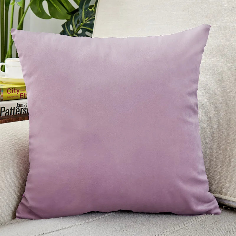 Velvet Throw Pillow Cover for Sofa and Bed Decor