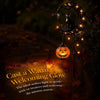A black cat and pumpkin garden stake light with glowing amber illumination for Halloween decor.