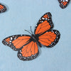 An orange monarch butterfly with black and white markings is shown against a light blue background.