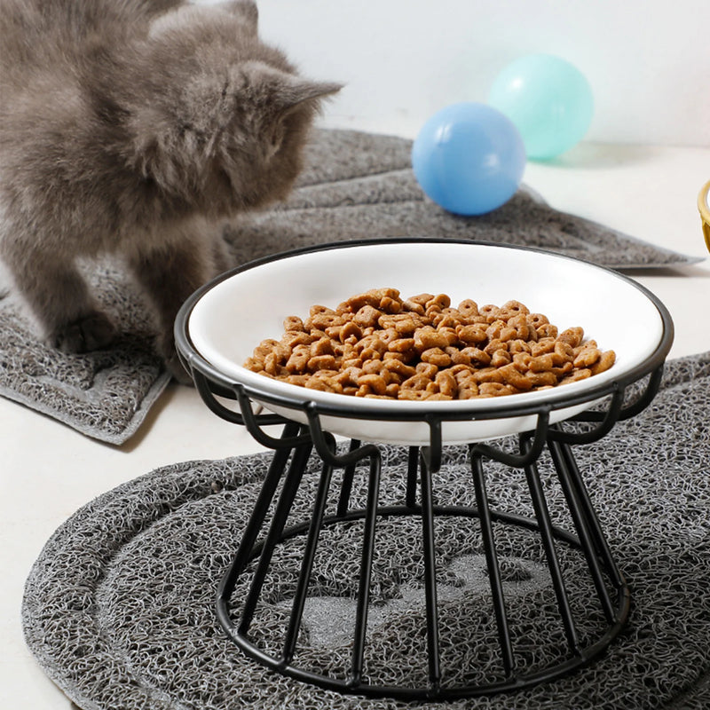 Elevated Ceramic Pet Bowl with Non-Slip Stand