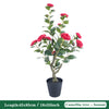 Árbol Topiario de Camelia de 85 cm con Maceta Decorativa