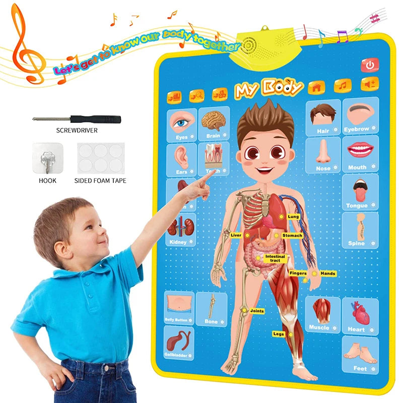 Interactive Alphabet & Numbers Learning Wall Chart
