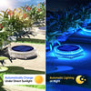 Solar Powered LED Step and Path Lights with Auto On/Off