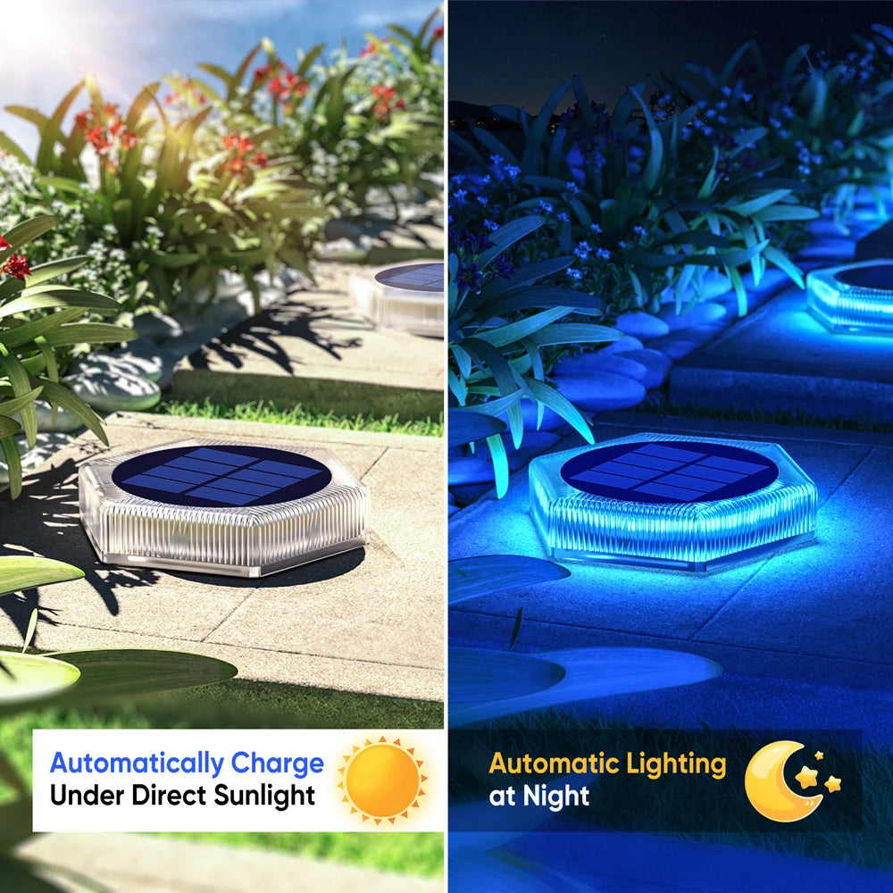 Solar Powered LED Step and Path Lights with Auto On/Off
