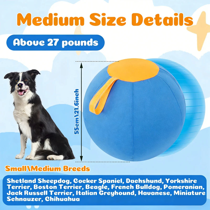 Interactive Dog Herding Ball with Handle