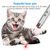 Pocket Laser Pointer & LED Flashlight Keychain