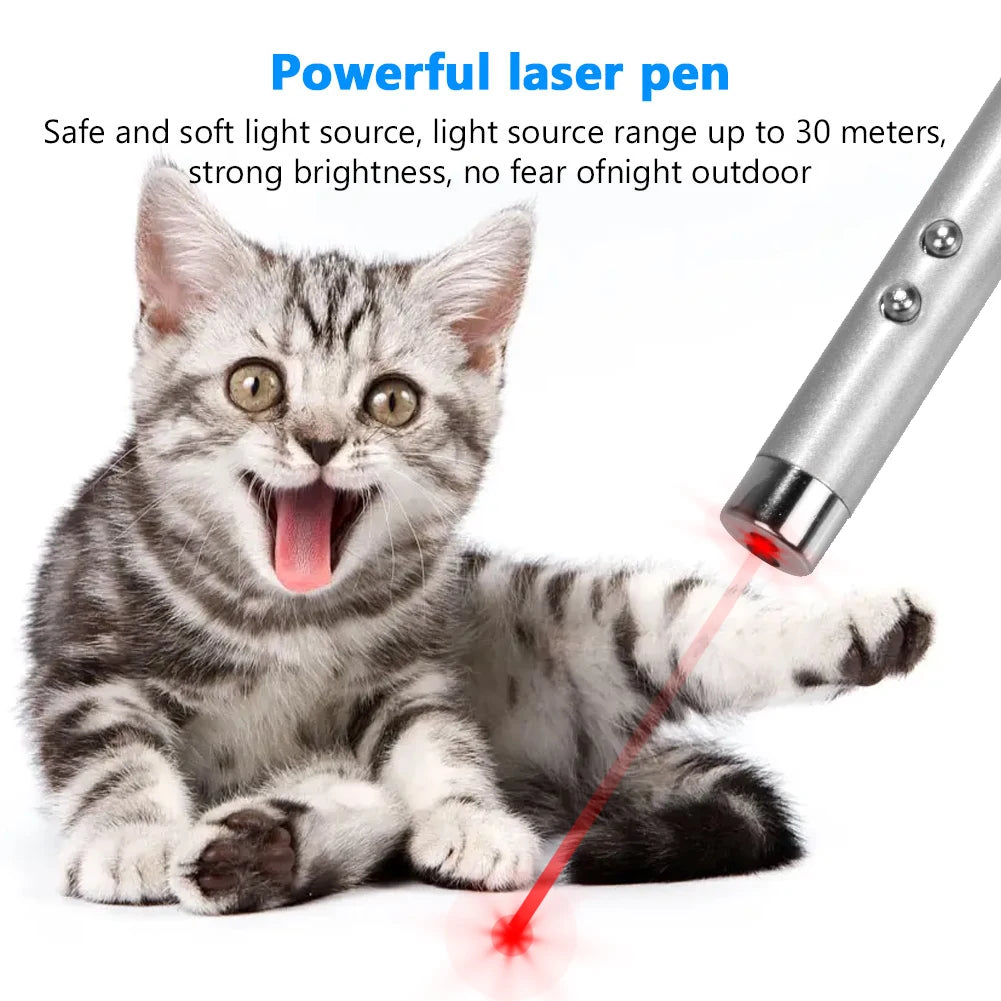 Pocket Laser Pointer & LED Flashlight Keychain