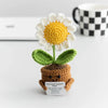 Handmade crochet plant decoration featuring a white and yellow flower on a brown base.