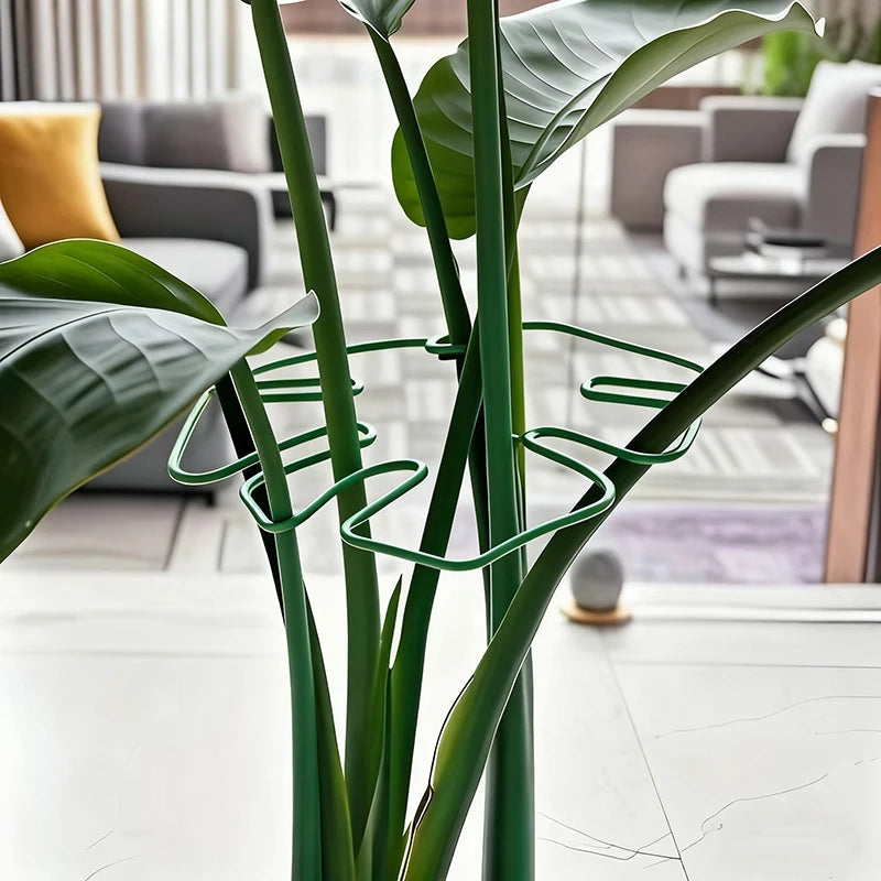 A close-up of a sturdy metal Monstera plant support frame with green leaves in a modern indoor setting.