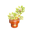 DIY Succulent Plant Building Block Bouquet