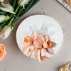 Butterfly Silicone Mold for Resin, Candle Making & Home Decor