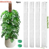 A tall plastic plant moss pole with four sections for indoor plants, measuring 91cm or 36 inches tall.