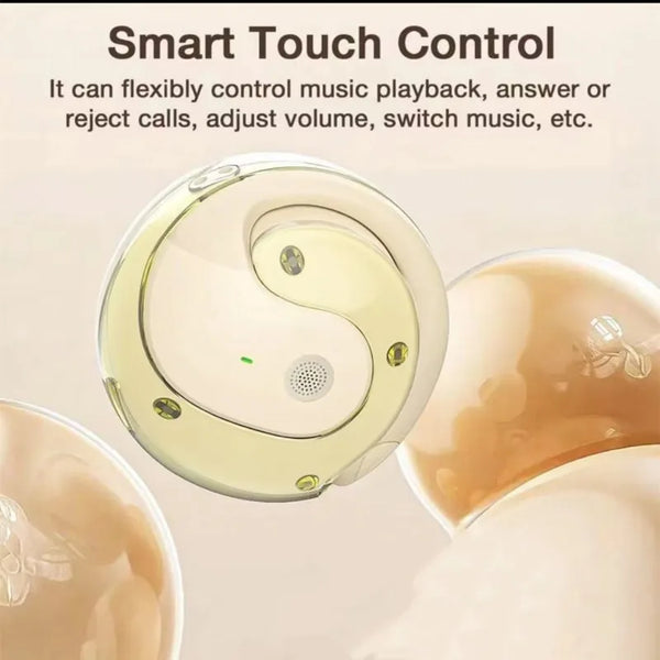 Real-Time Translation Earbuds