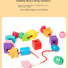 Montessori Wooden Color & Shape Matching Puzzle for Toddlers
