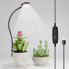 A full-spectrum LED grow light with a flexible gooseneck and clip illuminating a potted plant.