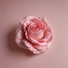 A soft pink rose bloom silicone mold used for decorating chocolates, candy, and fondant.
