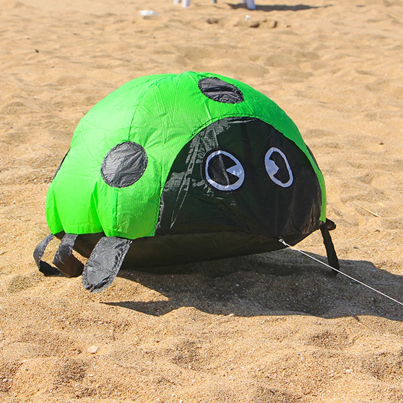 Ladybird Ground Kite for Outdoor Family Fun