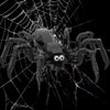 A black spider model is positioned in the center of a white spiderweb against a black background.