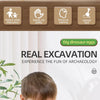 Dinosaur Fossil Dig Kit for Kids - Excavation Science Set