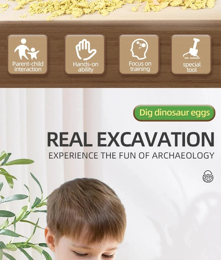 Dinosaur Fossil Dig Kit for Kids - Excavation Science Set