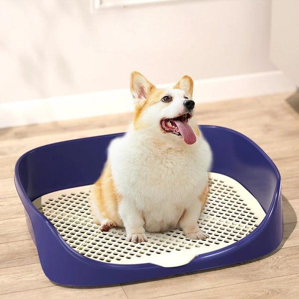 Indoor Puppy Potty Training Tray