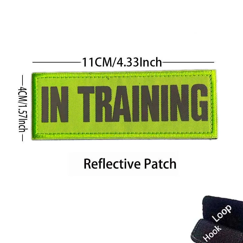A rectangular lime green reflective patch embroidered with the text IN TRAINING and dimensions listed.