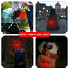 A montage showing a USB rechargeable bicycle tail light used for various purposes, including personal safety and pet illumina