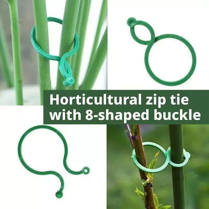 Green horticultural zip ties with 8-shaped buckles used for garden plant support.