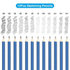 Professional Artist Sketching Pencil Set (32 Pieces)