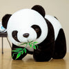 Adorable Panda Plush Toy – 20cm Soft Cuddly Companion