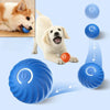 Automatic Interactive Dog Ball