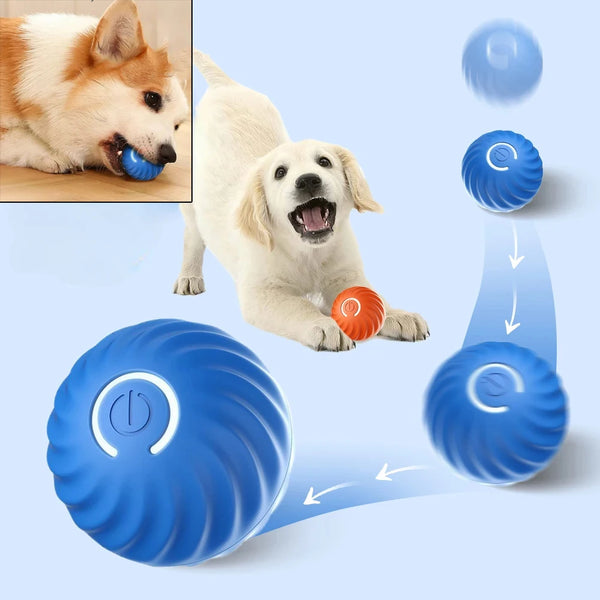 Automatic Interactive Dog Ball