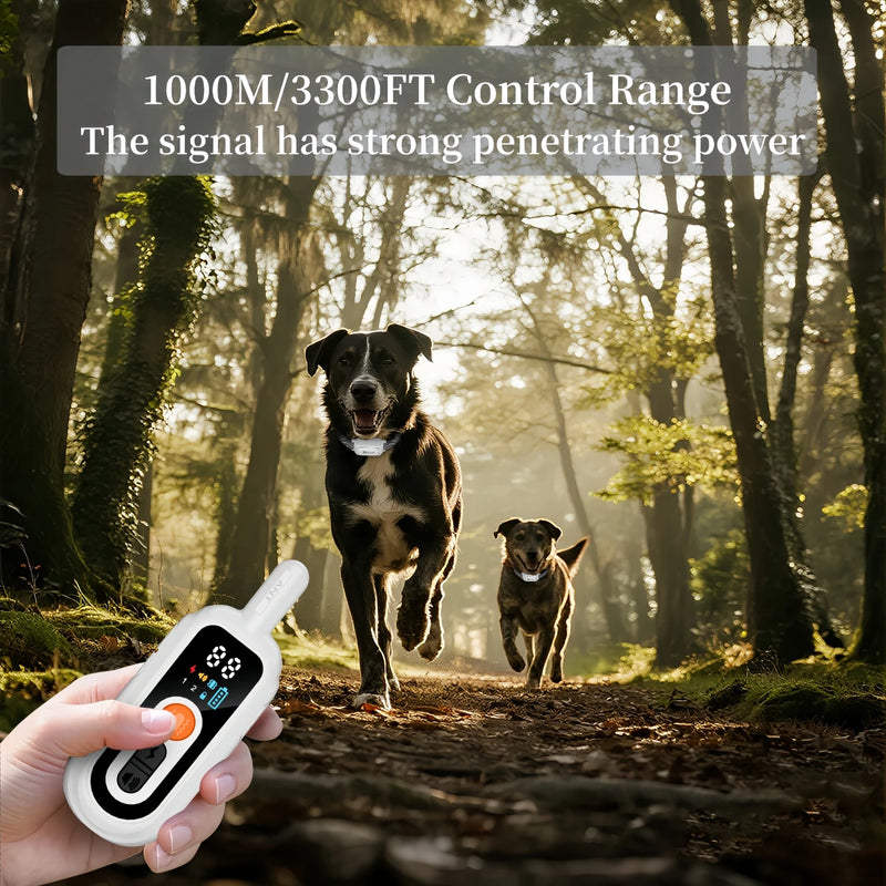 Collar de Entrenamiento para Perros con Control Remoto Recargable y Diseño Impermeable