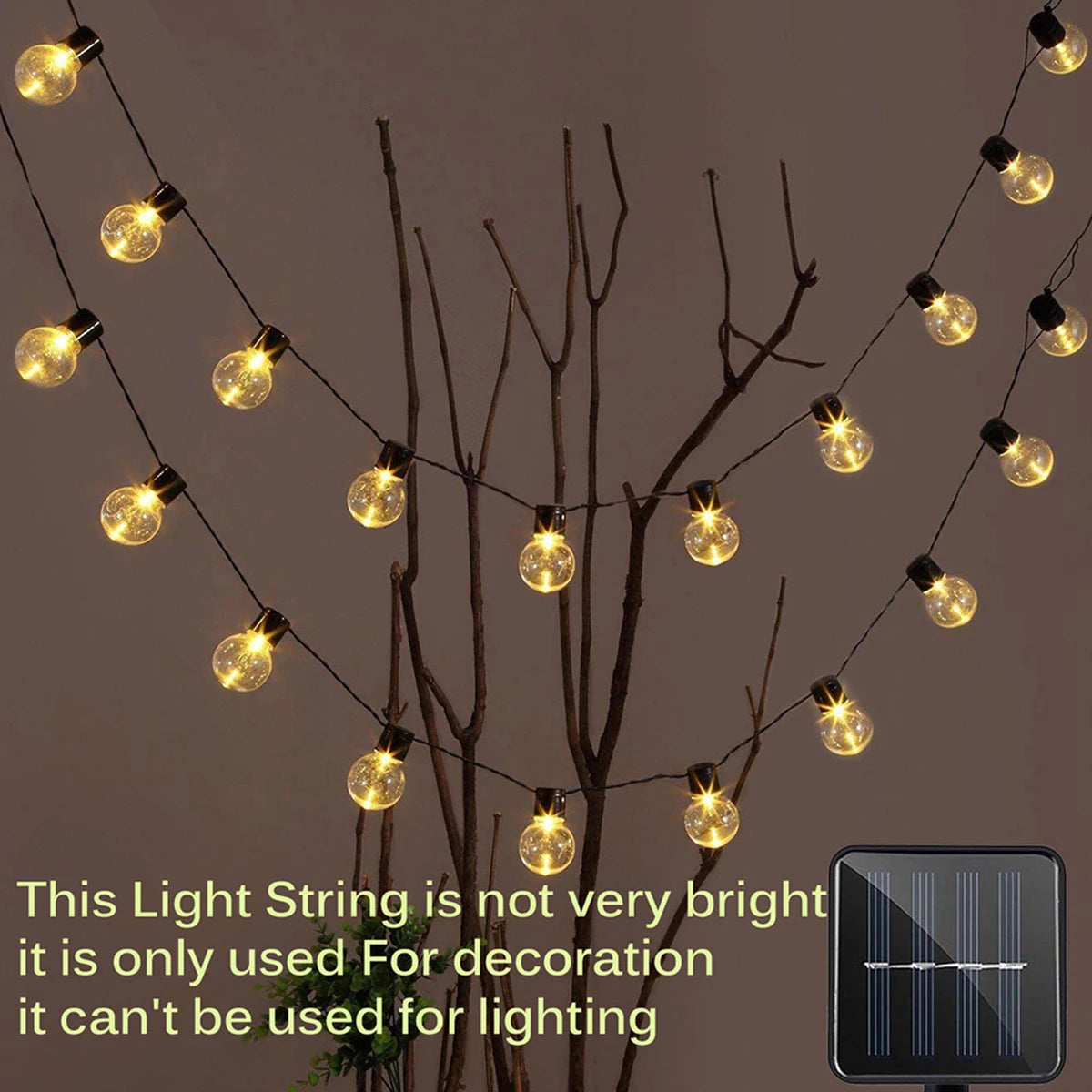 Une guirlande de petites lumières chaudes est drapée sur une branche d'arbre nu pour la décoration.