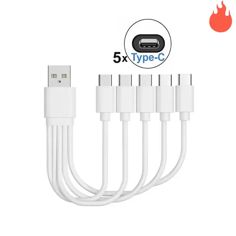 4-in-1 Multi-Charging Cable (20cm)