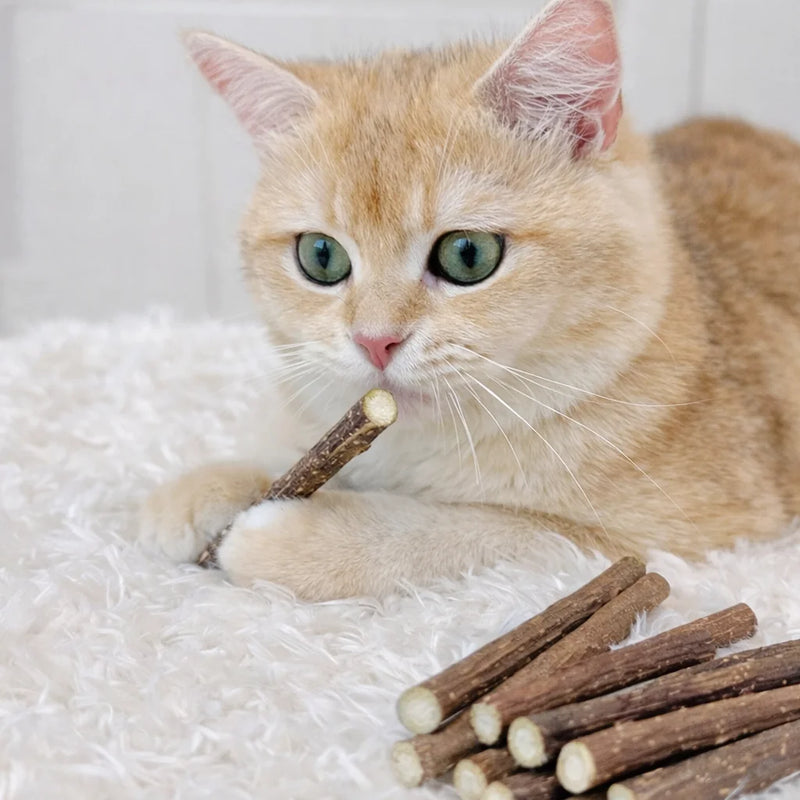 Palos de Mordida de Silvervine Natural para Gatos