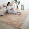 Plush Shaggy Area Rug for Living Room & Bedroom
