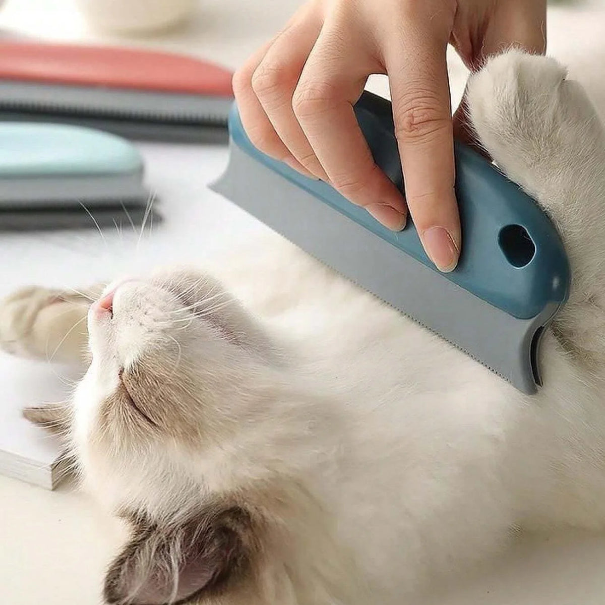A hand is using a gray pet hair removal brush on the fur of a white cat.