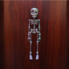 A metallic, poseable skull and skeleton figure used as a fridge magnet.