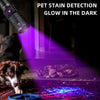 A purple UV flashlight illuminates a pet stain on a rug, revealing hidden stains in the dark.