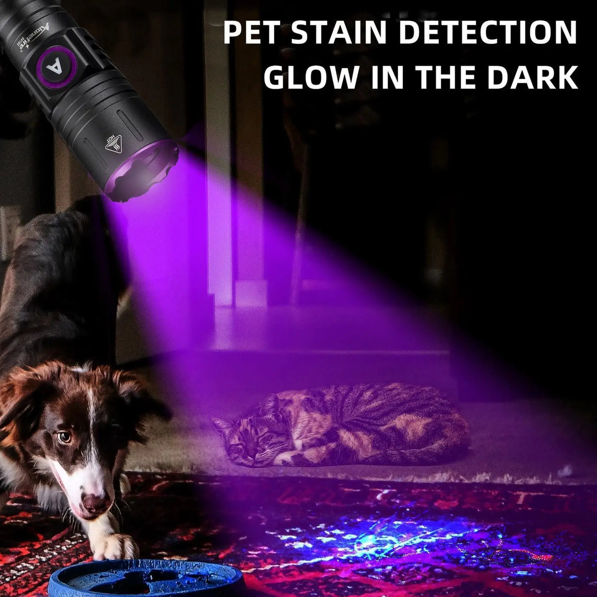 A purple UV flashlight illuminates a pet stain on a rug, revealing hidden stains in the dark.