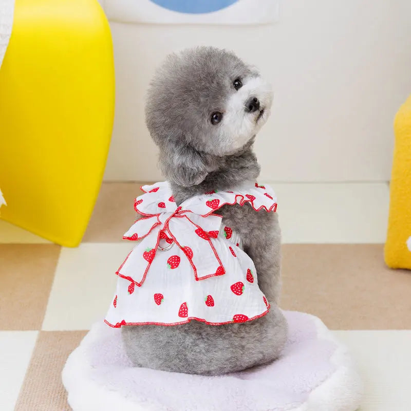 Strawberry Print Dog Dress