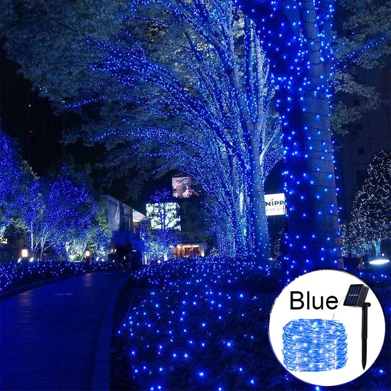 Blue fairy string lights illuminating a path and trees at night