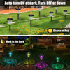 Solar-Powered LED Pathway Lights