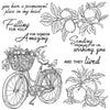 A line drawing of a bicycle with a basket and oranges, surrounded by text wishing someone amazing and loved.