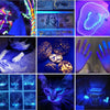 A collection of images showing the use of a rechargeable 365nm UV flashlight for detecting pet stains and other objects.