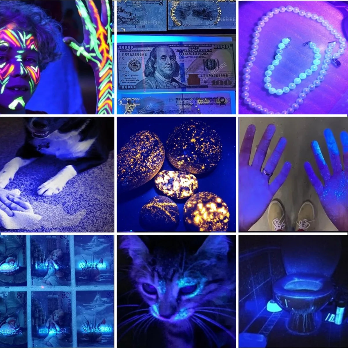 A collection of images showing the use of a rechargeable 365nm UV flashlight for detecting pet stains and other objects.